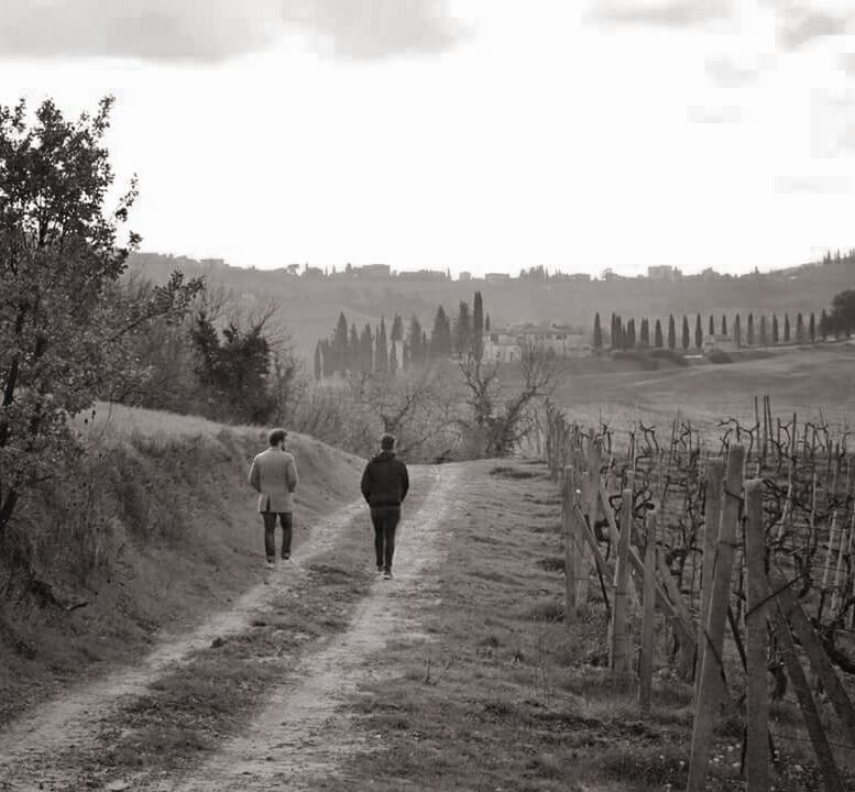 Il pino e la querce azienda agricola