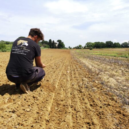 azienda agricola toscana