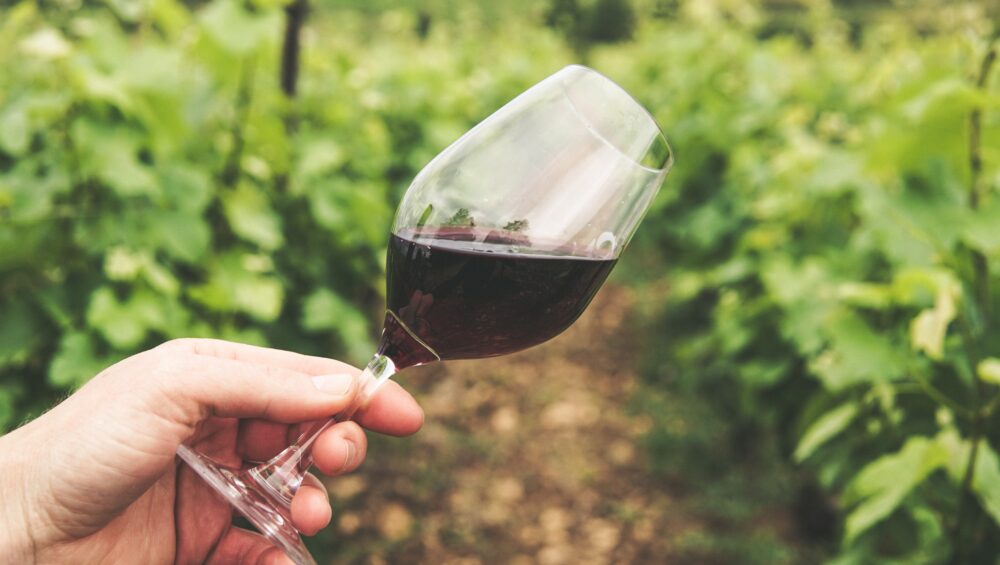 Vino biologico senza solfiti