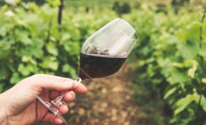 Vino biologico senza solfiti