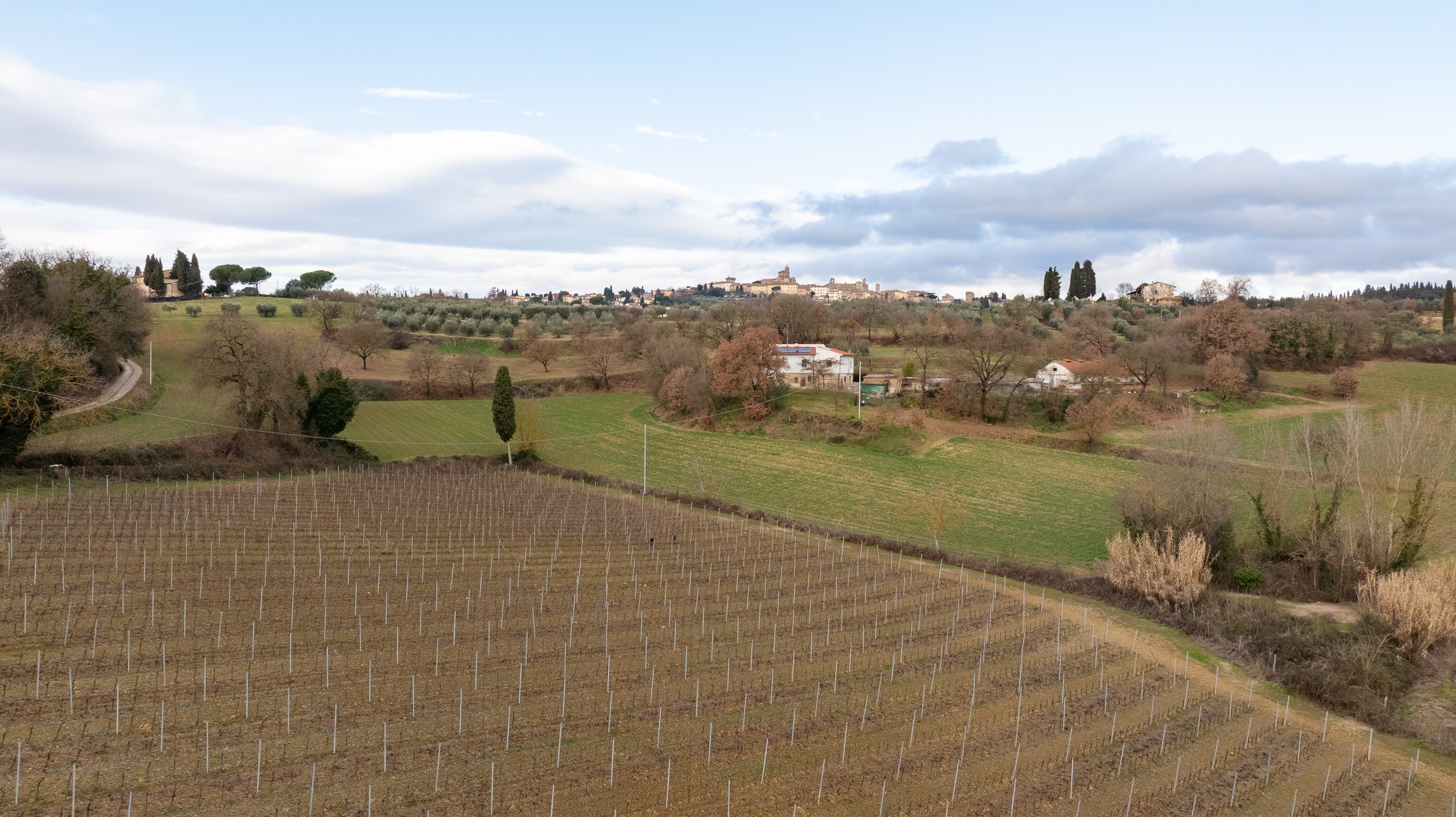 DJI_0654-HDR
