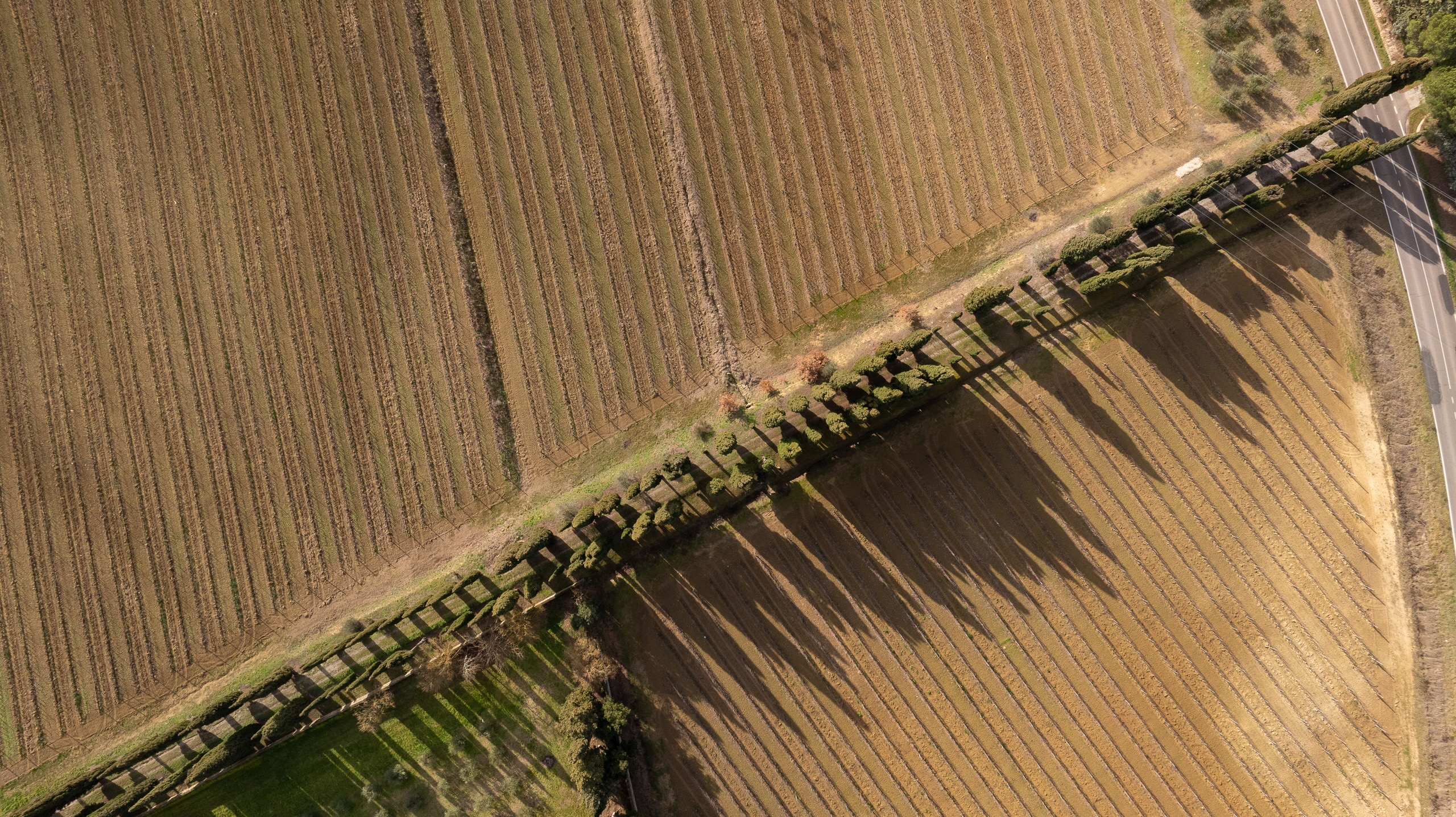 DJI_0716